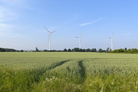 Blick von Gerichshain